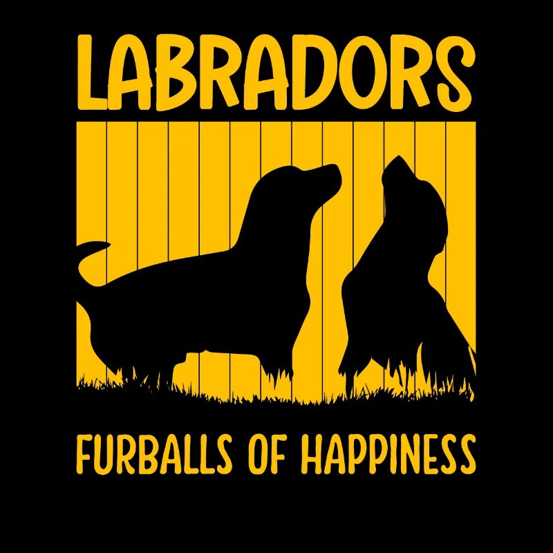 Boules de fourrure de labradors og Bonheur