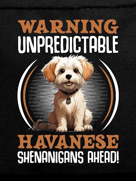 Warning unpredictable Havanese Shenanigans ahead