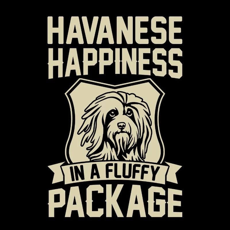 Havanese Happiness in a fluffy Package