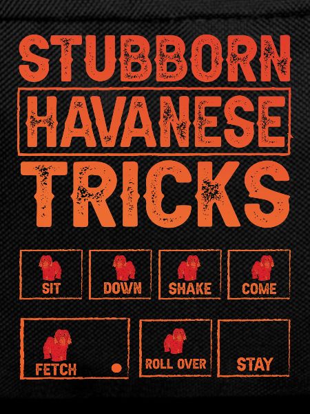 Stubborn Havanese Tricks