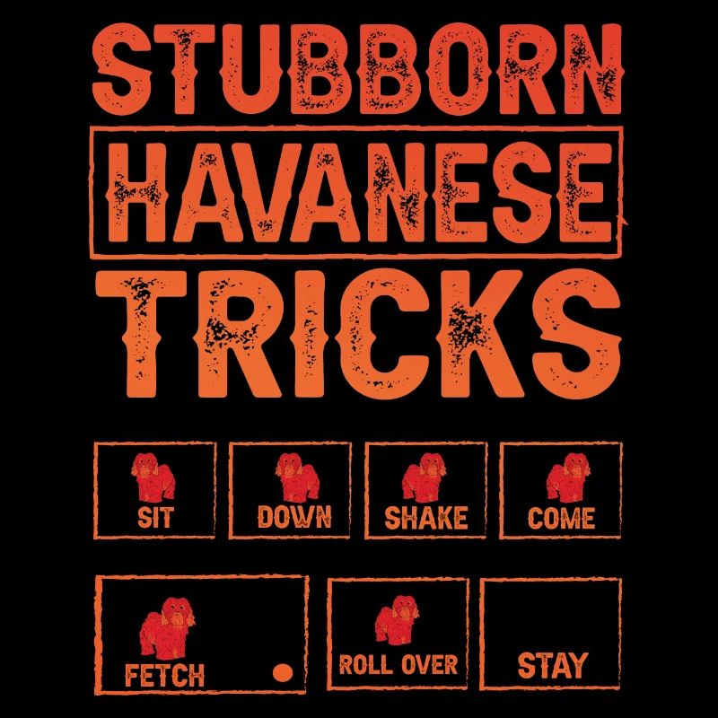 Stubborn Havanese Tricks
