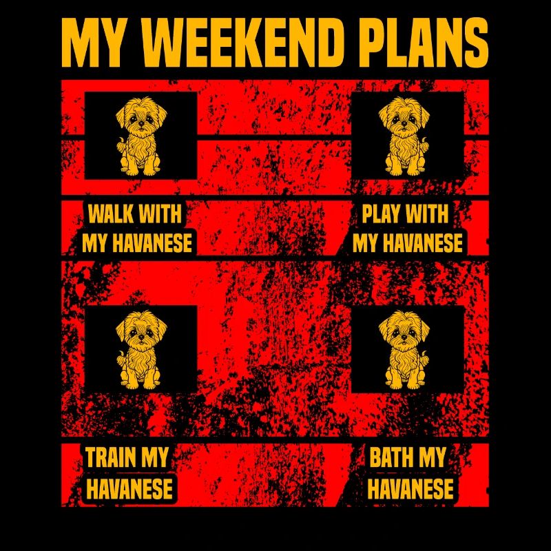 My Weekend plans Havanese