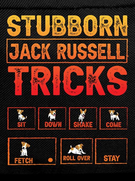 Stubborn Jack Russell Tricks