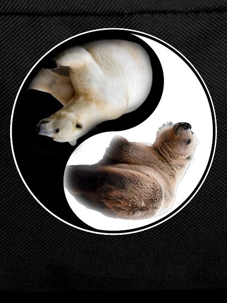 Yin Yang Bear
