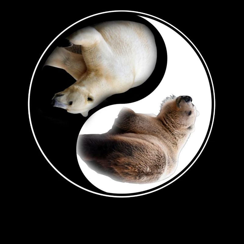 Yin Yang Bear
