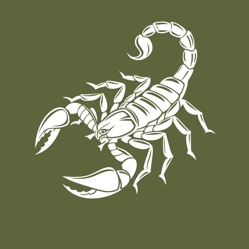 Scorpion - Dard venimeux - Conservation des espèces - Habitat