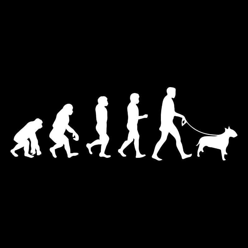 EVOLUTION Labrador