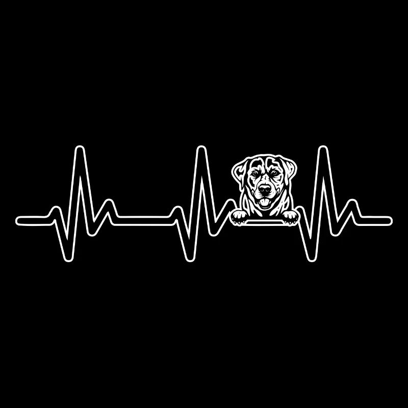 Labrador heartbeat