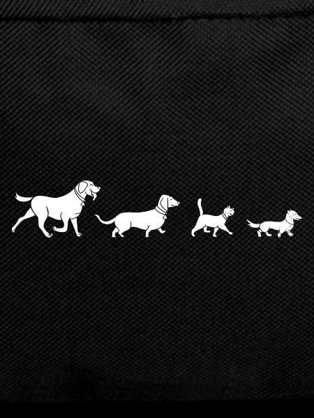 Dachshund Viennese Dachshund Rauhhaardackel