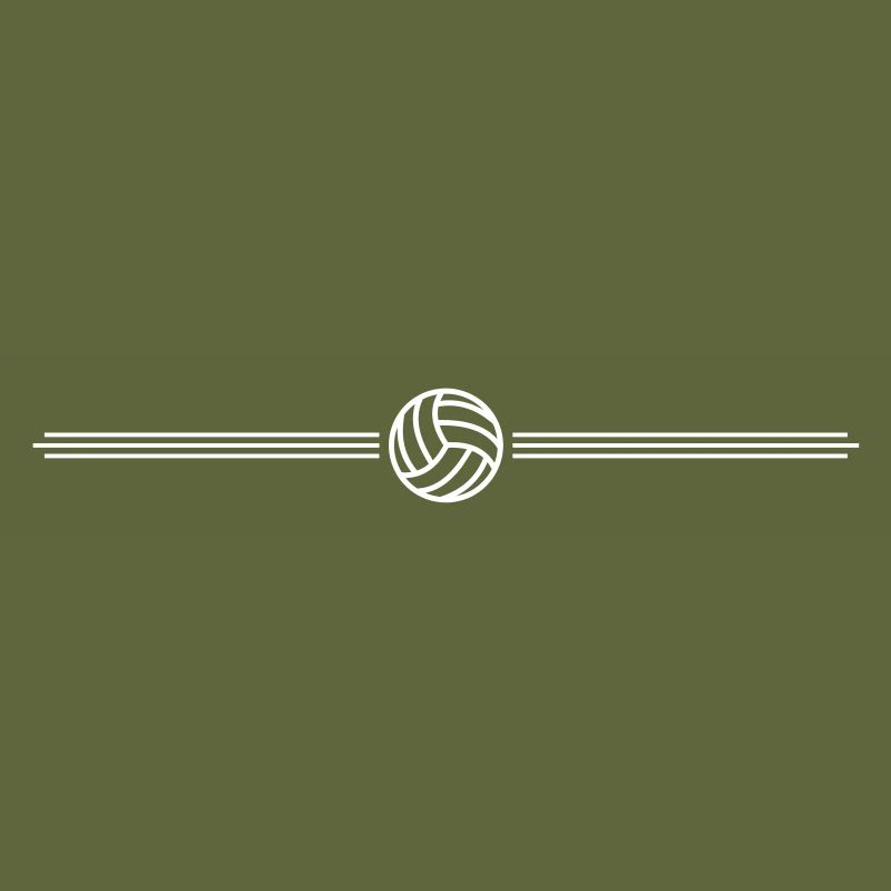volleyball team
