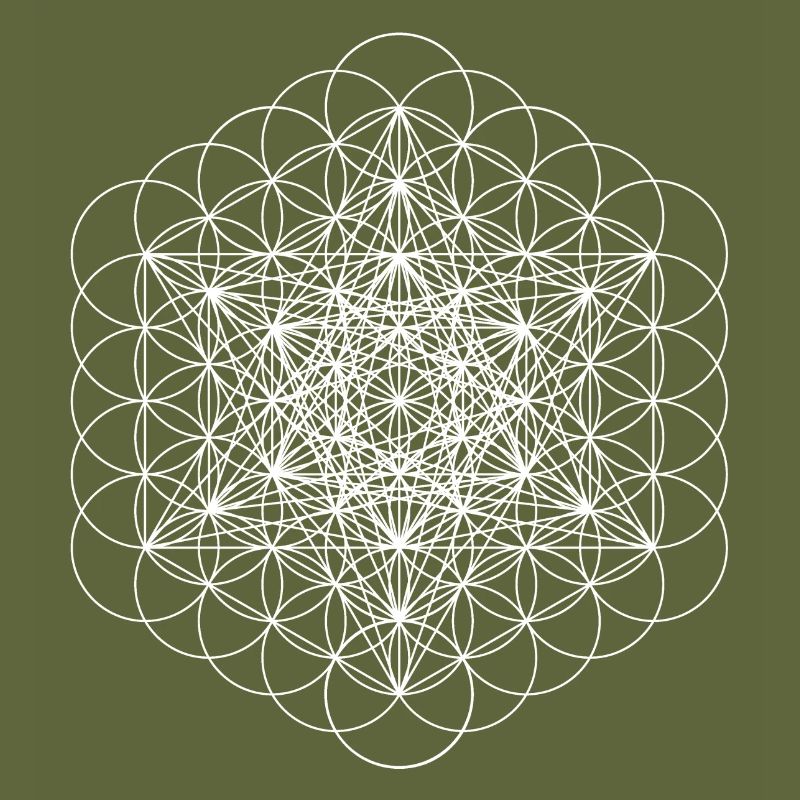 metatrons cube white