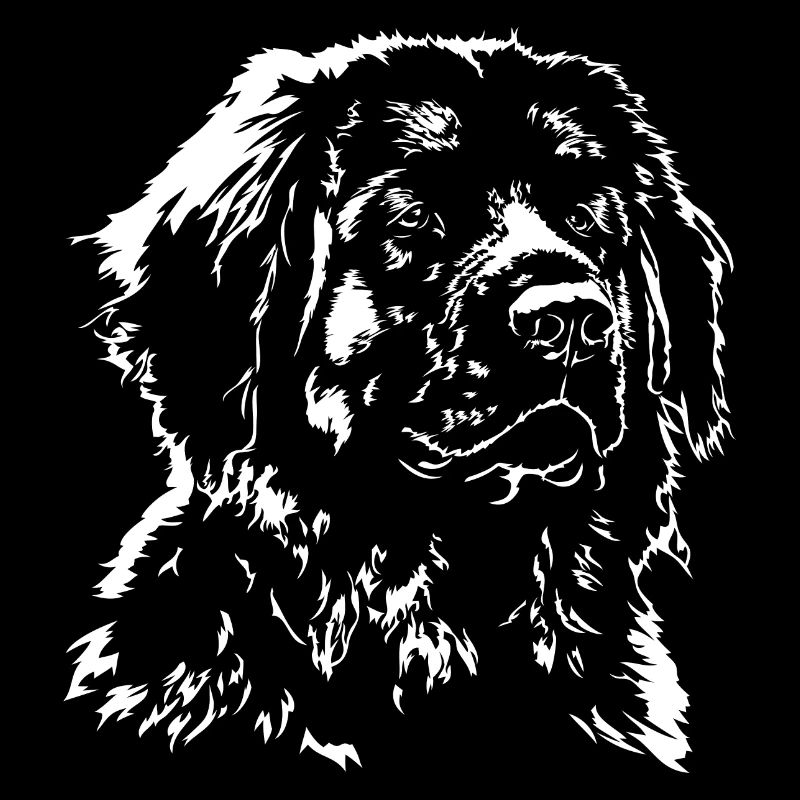 LEONBERGER Hundeportrait Wilsigns Hunde