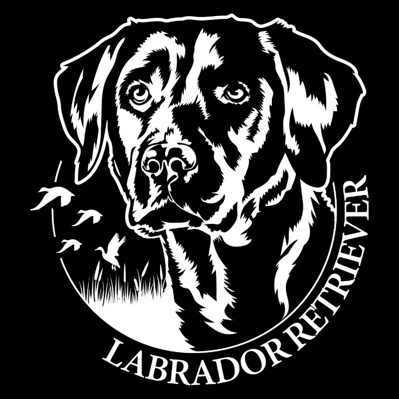 LABRADOR RETRIEVER Chien de chasse Chiens de chasse Wilsigns