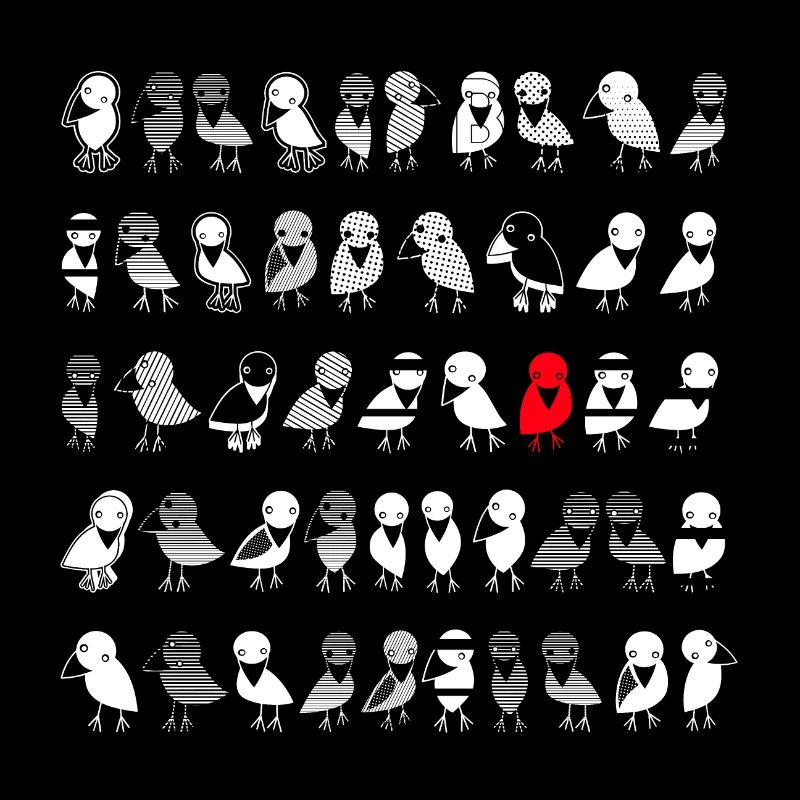 Birds Ravens