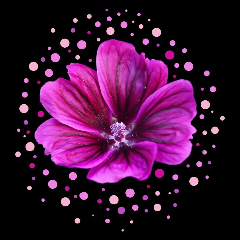 Mallow Purple Blossom