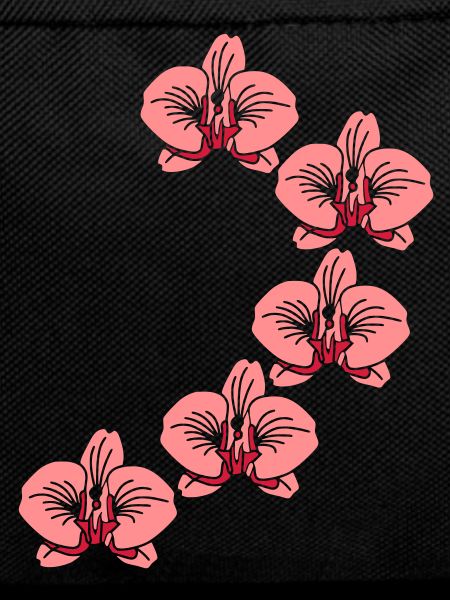 Orchideen