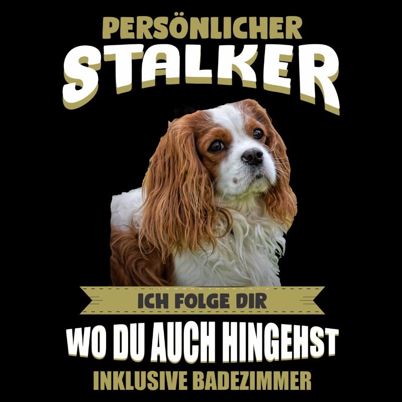 Cavalier King Charles - Cavalier King Charles
