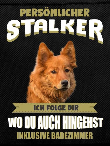 Harzer Fuchs Hund - Harzer Fuchs