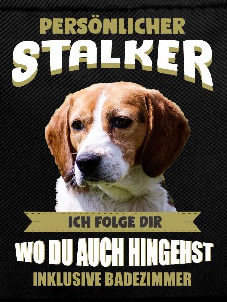 Beagle Hund - Beagle
