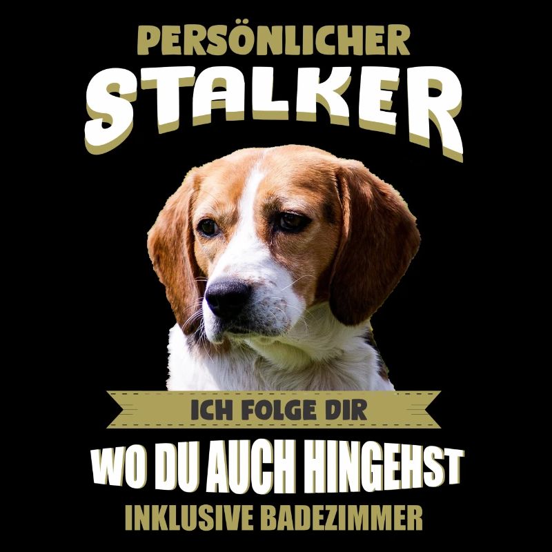 Beagle Hund - Beagle