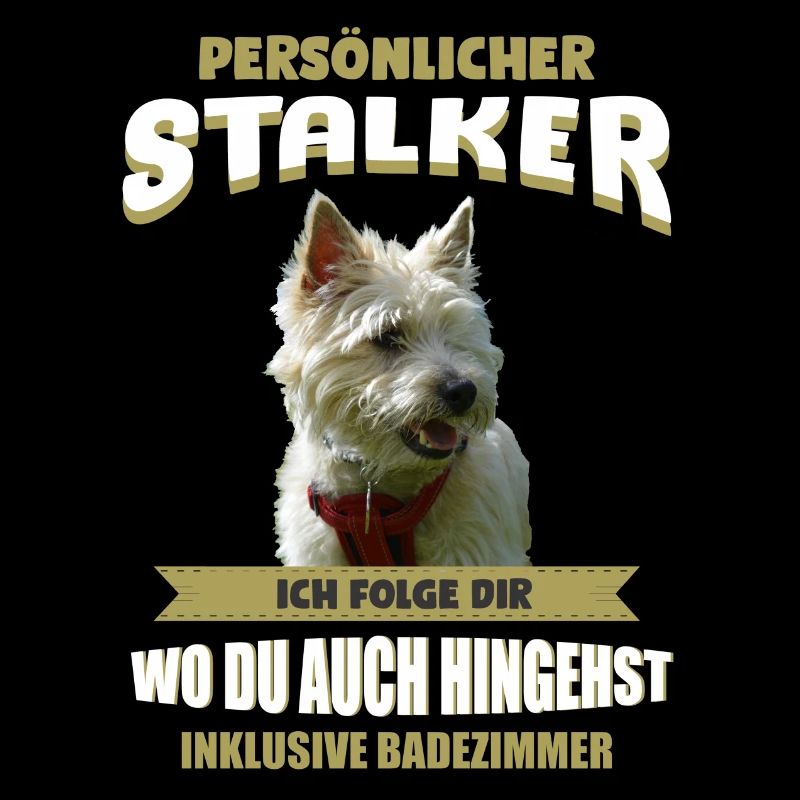Cairn Terrier Hund - Cairn Terrier