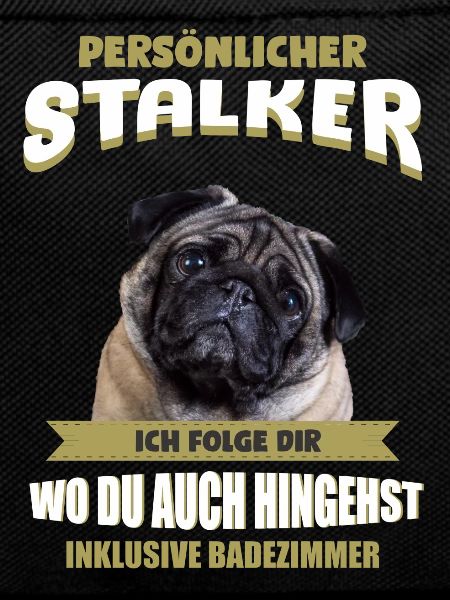 Mops Hund - Mops