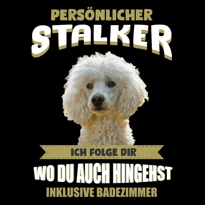 Pudel Hund - Pudel