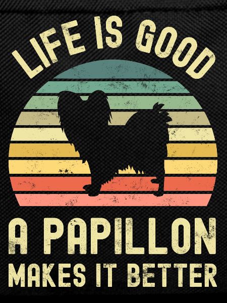 Hund Papillon