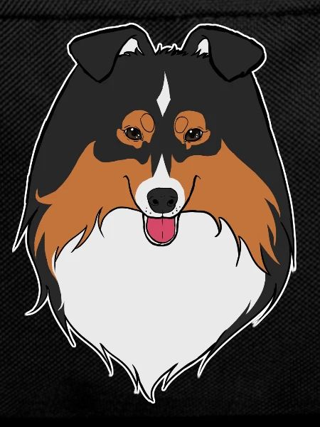 Sheltie black trio