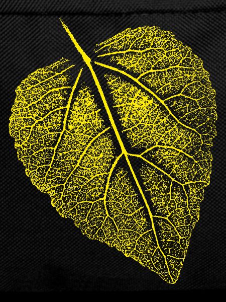 Linden leaf / Leaf Linde