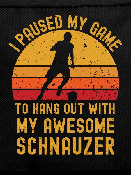 Football and Schnauzer