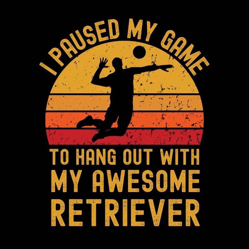 Volleyball et retrievers