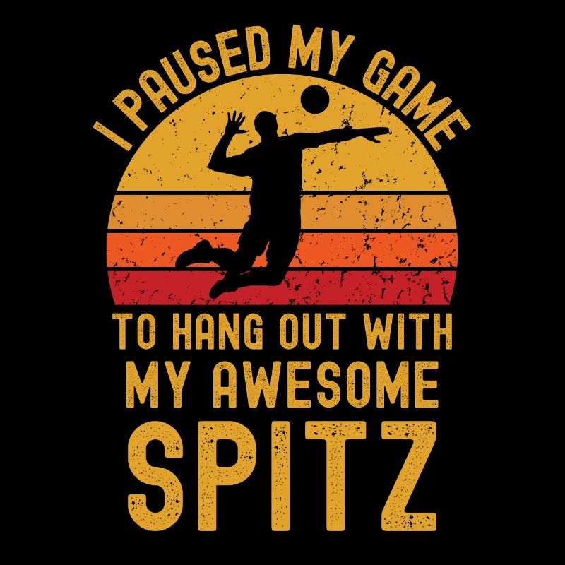 Volleyball und Spitz