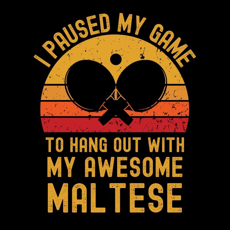 Table tennis and Maltese