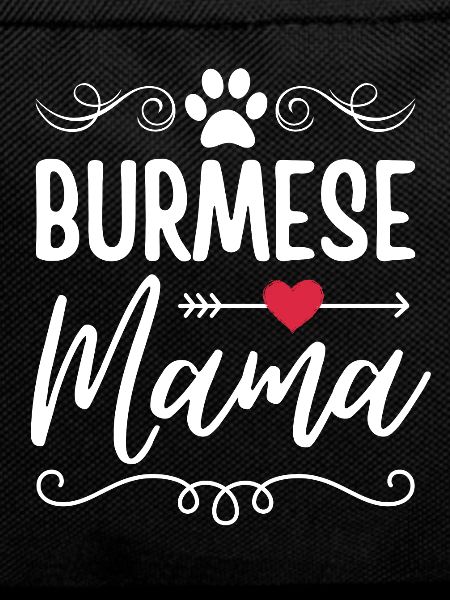 Burma-Katze Mama