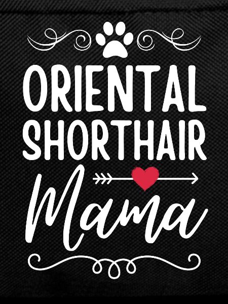 Oriental Shorthair Mama