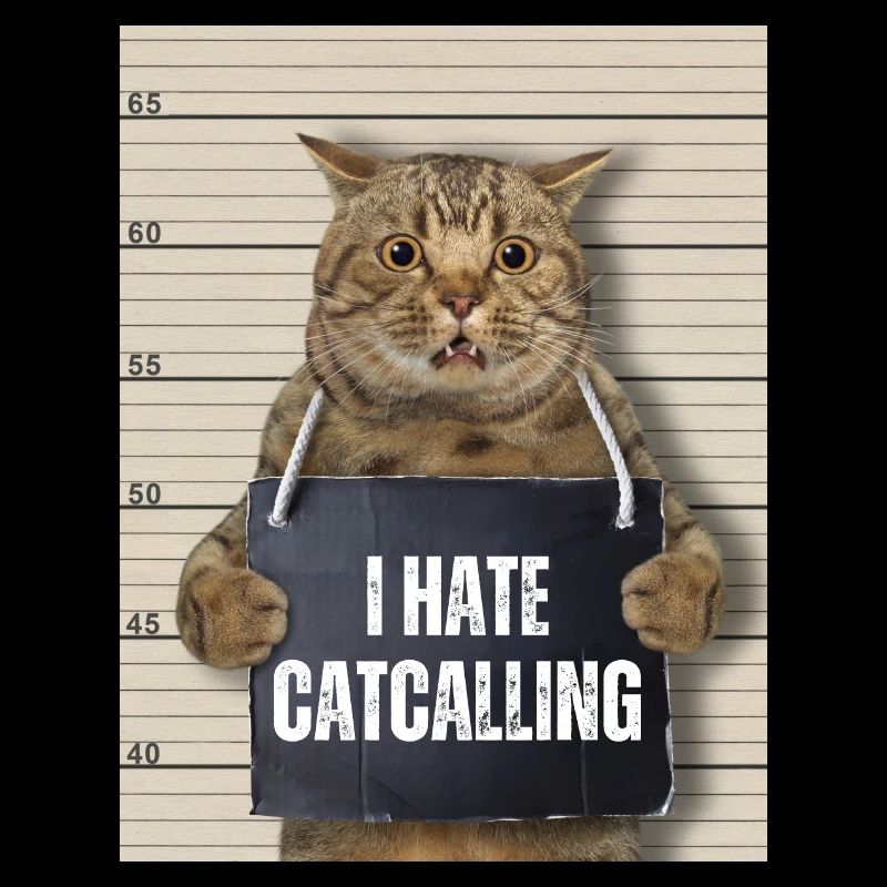 I Hate Catcalling