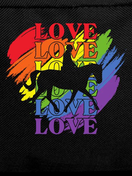 Riding LGBT Pride