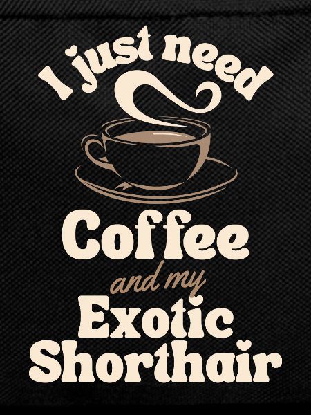 Coffee Exotic-shorthair lover