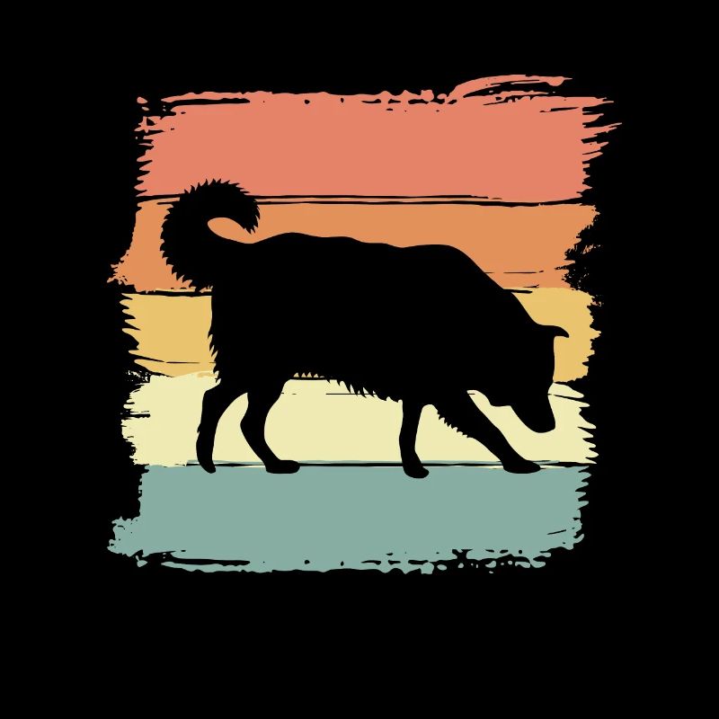 Border-collie retro