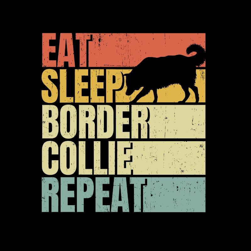 Manger dormir Border-collie répéter