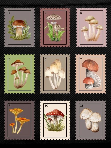 Pilz Design 