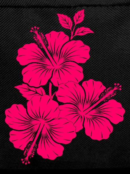 Fuchsia Pink Hibiscus Flowers