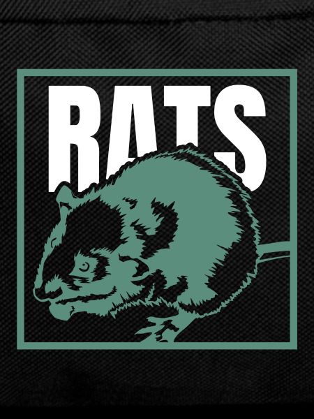 rat