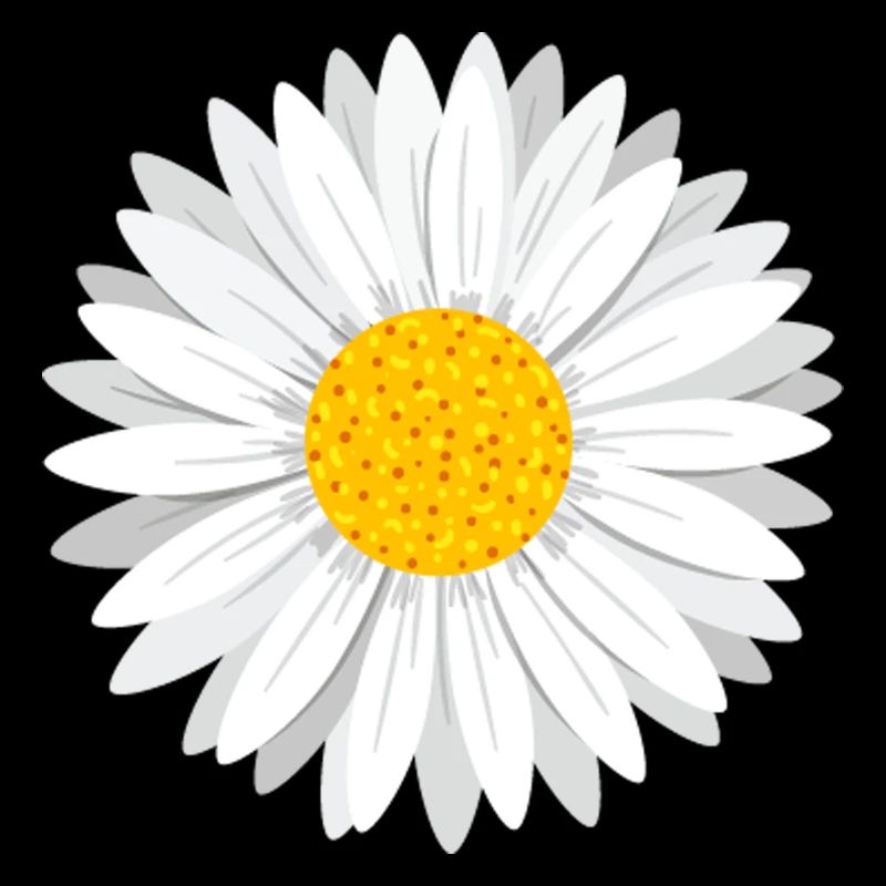 Daisy Flower weißes Gänseblümchen Blume Blumen