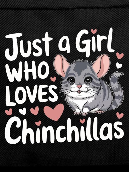 Chinchilla Chinchillas Mouse