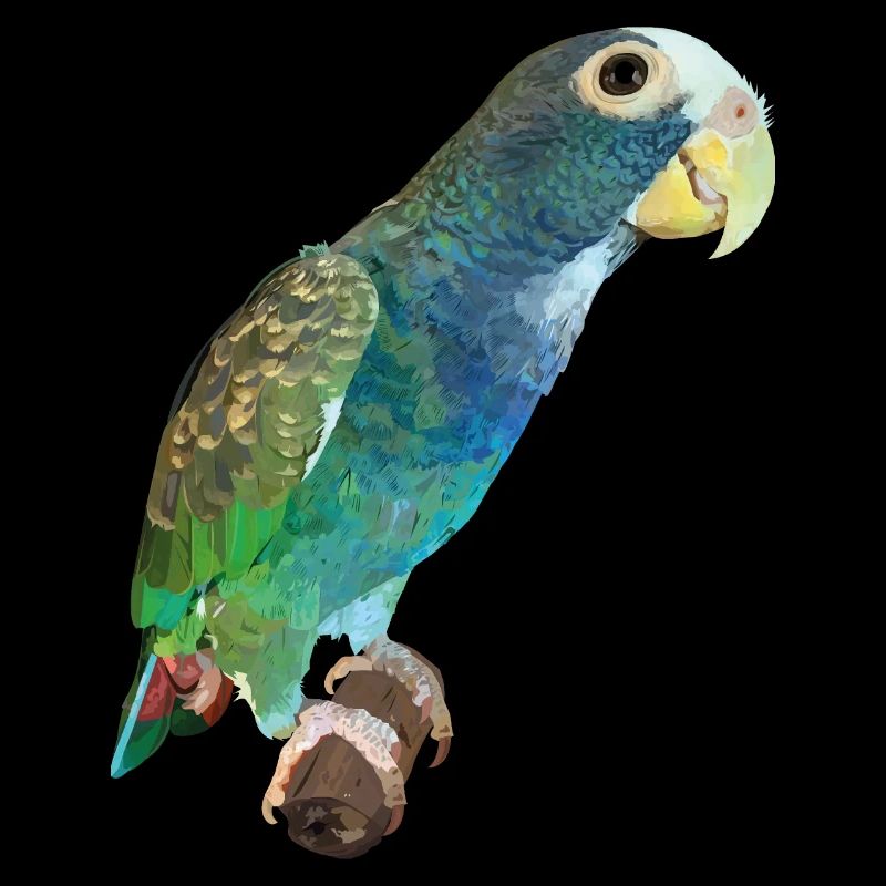 Senile Parrot