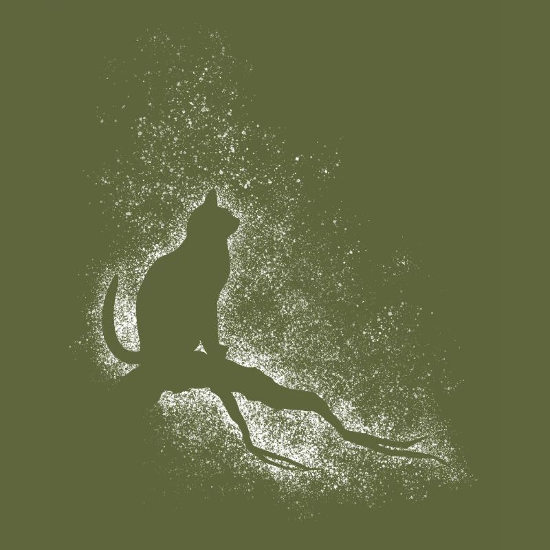 Cat and stars