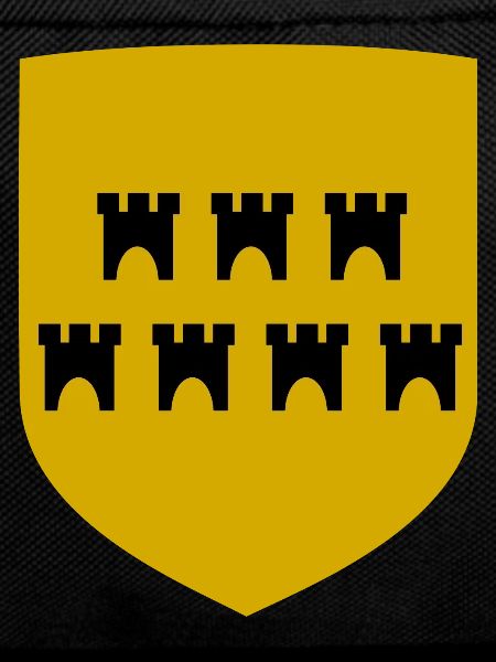 The Transylvanian Saxons