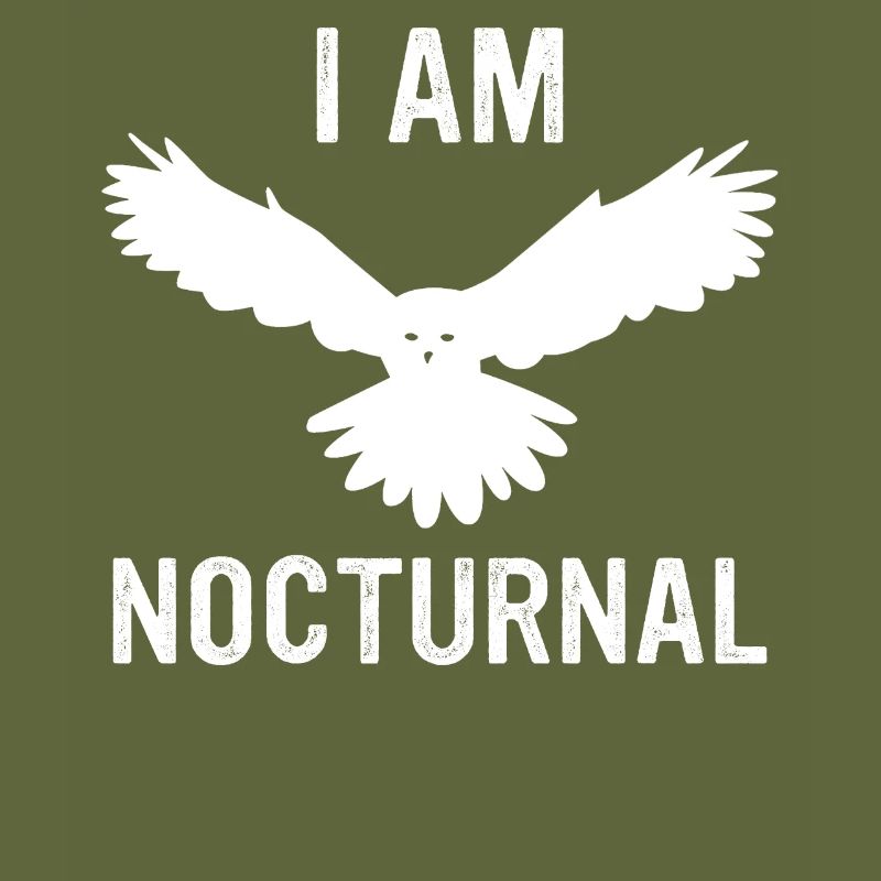 Eule Vogel Tier Eulen